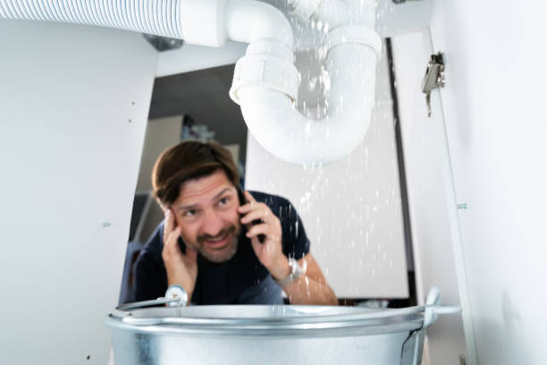 Best Commercial Plumbing Services  in West Haven, UT