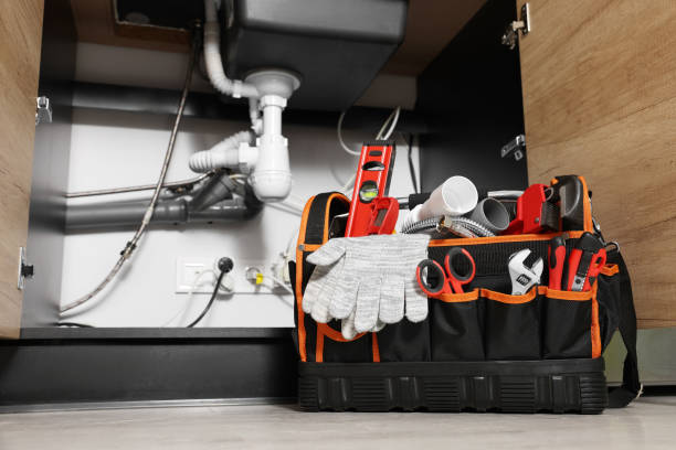 Best Clogged Drain Plumber  in West Haven, UT